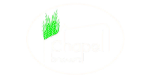 Lees meer over het artikel Chapel Brewers
