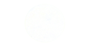 Lees meer over het artikel Misty Moon