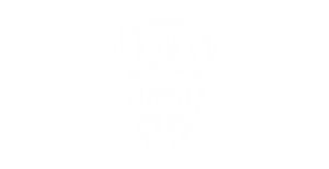 Lees meer over het artikel Horny Hornet